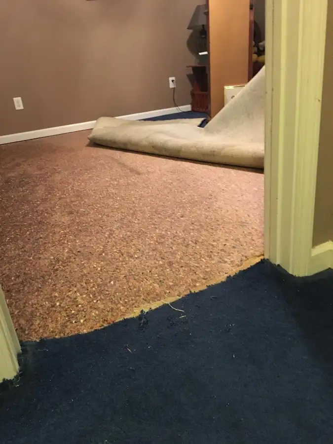 Carpet pad removal revealing water damage during Drying & Dehumidification in Versailles