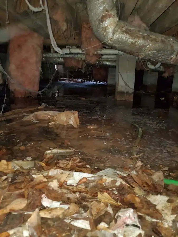 Crawl space flood assessment for Leak Detection & Repair in Versailles